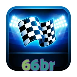 66br